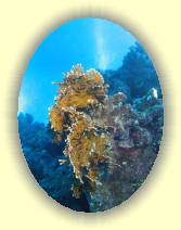 IMG_2007_05_27 15_26_16 * 1668 x 2223 * (553KB)